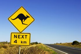 Australia, Victoria, Great Ocean Road, kangaroo road sign