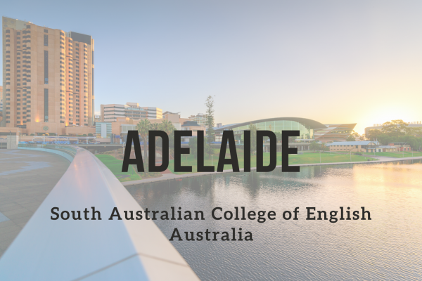 Kurz angličtiny – Adelaide (South Australian College of English)