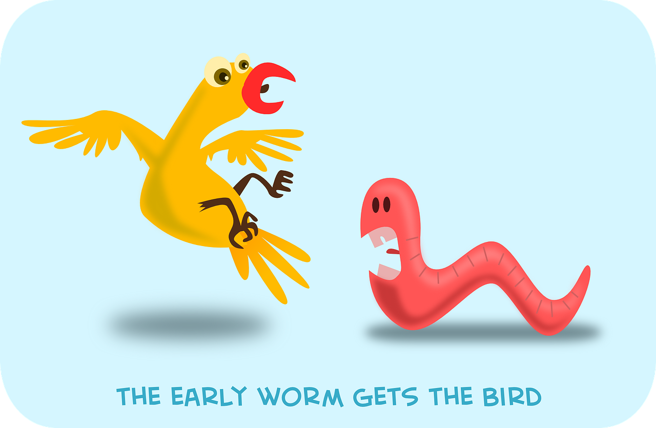Early Bird Gets The Worm…